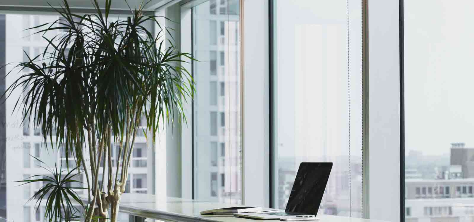 在线轰炸电话网页版免费测试